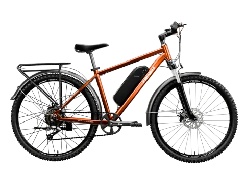 Emotorad T-Rex Pro Electric Bicycle